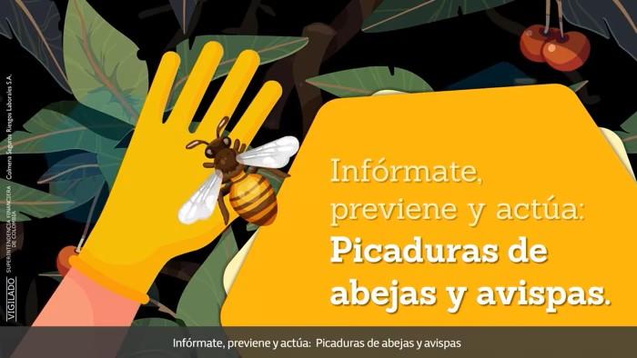 Prevención y manejo Picadura Abejas y avispas